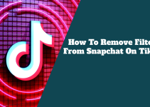 How To Remove Filters From Snapchat On TikTok