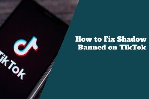 How to Fix Shadow Banned on TikTok: Every Steps To Take